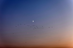 02_10_2011-50-8001_