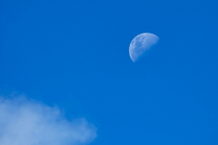 12_04_2011-100-6413_
