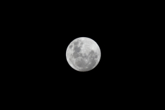 17_04_2011-400-6932_